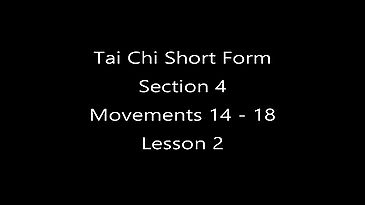 Tai Chi Section Four - Lesson 2